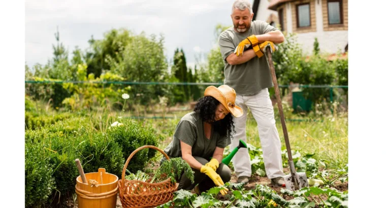 The benefits of organic gardening are many. Being in direct contact with plants helps to release stress. And also stimulates a connection with the environment. By cultivating an organic garden at home ensures that the family can access healthy food and organic vegetables. What is an organic garden Organic gardening is a form of farming that relies on soil fertility and species diversity. It seeks to obtain healthy plants that become healthy foods. Natural techniques are used to produce fertile soil. For example, mulching (a cover of grass and dry leaves) and sowing in association (plants of different sizes). Another technique is rotation, which means not growing the same species in the same place. In addition, the compost itself is produced. It is about taking advantage of all the resources that nature provides to produce healthy vegetables. This avoids the use of chemical products such as pesticides or fertilizers. For some time now, having a garden at home has become very common in Argentina and many other countries. As time goes by, more awareness is generated about the importance of organic gardens. And today many people grow in their gardens or even on the balcony of their apartment. In addition to saving money, this action allows you to improve your diet, health, and the environment simultaneously. What are the benefits of organic gardening HEALTH BENEFITS OF ORGANIC GARDENING 1. CHEMICAL-FREE ORGANIC FOODS Foods bought in the market undergo an industrial process and vegetables are no exception. Having an organic garden leads to consuming healthy, sustainable foods, free of chemicals. Such as pesticides and fertilizers, which are one of the causes of water and air pollution. 2. SAVING MONEY organic gardening is a great opportunity for everyone who wants to be a gardener. Having an organic garden will help you avoid spending money at the grocery store or supermarket. Which will save you from certain expenses. The process of harvesting them can take time vegetables are usually the quickest, but some vegetables can take up to 4 months. 3. IT IS A RECREATIONAL ACTIVITY A vegetable garden requires much knowledge and dedication. Which encourages education and reading about planting for every beginner to expert gardener. It is a very important education for children so that they are in contact with nature. From a young age, they can learn to take responsibility for sustainability. 4. AVOID USE OF PLASTICS Many fruits, vegetables, and greens are sold wrapped in plastic or containers made of this material. Plastic is one of the biggest pollutants on the planet. Every year, people dump an average of 8 million tons of trash into the oceans, and this problem is getting worse. Having a vegetable garden will help reduce its consumption. This is the main environmental benefits of organic gardening ​5. SPEND TIME WITH FAMILY A garden is a very constructive project for families and children will be interested in seeing how their food grows. Which may encourage new gardeners to try some vegetables. This will also help them become aware of the foods they eat and the importance of learning to eat healthy food and vegetables. FONCET AC, a civil association created in 2002, works to ensure the conservation of nature. And the development of communities in Protected Natural Areas and regions of great value in southern Mexico. This is to preserve our greatest legacy for future generations. This titanic task has only been possible thanks to the support of many people who have believed in FONCET. And who have contributed to making us one of the most effective Civil Society Organizations in Southern Mexico. And also being a successful example of collaboration in favor of nature. Why is organic gardening becoming popular Many people are becoming more aware of the benefits of organic gardening. Such as improving personal health, saving money, and helping the environment. It’s also a growing trend in many countries, including Argentina. Is Organic Food Beneficial to the Environment Yes, organic food is beneficial to the environment. Organic farming practices focus on sustainability. It’s reducing the use of synthetic pesticides and fertilizers. Which can lead to healthier ecosystems and reduced pollution. Does Organic Mean No Pesticides No, organic does not mean no pesticides. Organic farming allows the use of natural or organic pesticides. Which are generally considered safer than synthetic pesticides. However, some pesticides can still be used in organic farming. Albeit in limited quantities and under strict regulations. Is Organic Without Fertilizer No, organic farming does use fertilizers, but they are typically organic or natural fertilizers. Such as compost, manure, and other plant-based materials. People consider these fertilizers safer and more sustainable than synthetic chemical fertilizers. Conclusion Having an organic garden at home offers numerous benefits. Because it provides chemical-free foods to promote environmental sustainability. It is an enjoyable and educational activity that can unite families and encourage healthier eating habits. By starting a garden, you not only save money but also contribute to a healthier planet by reducing plastic. And also avoid harmful pesticides. Embracing organic gardening is a step towards a more sustainable and fulfilling lifestyle.