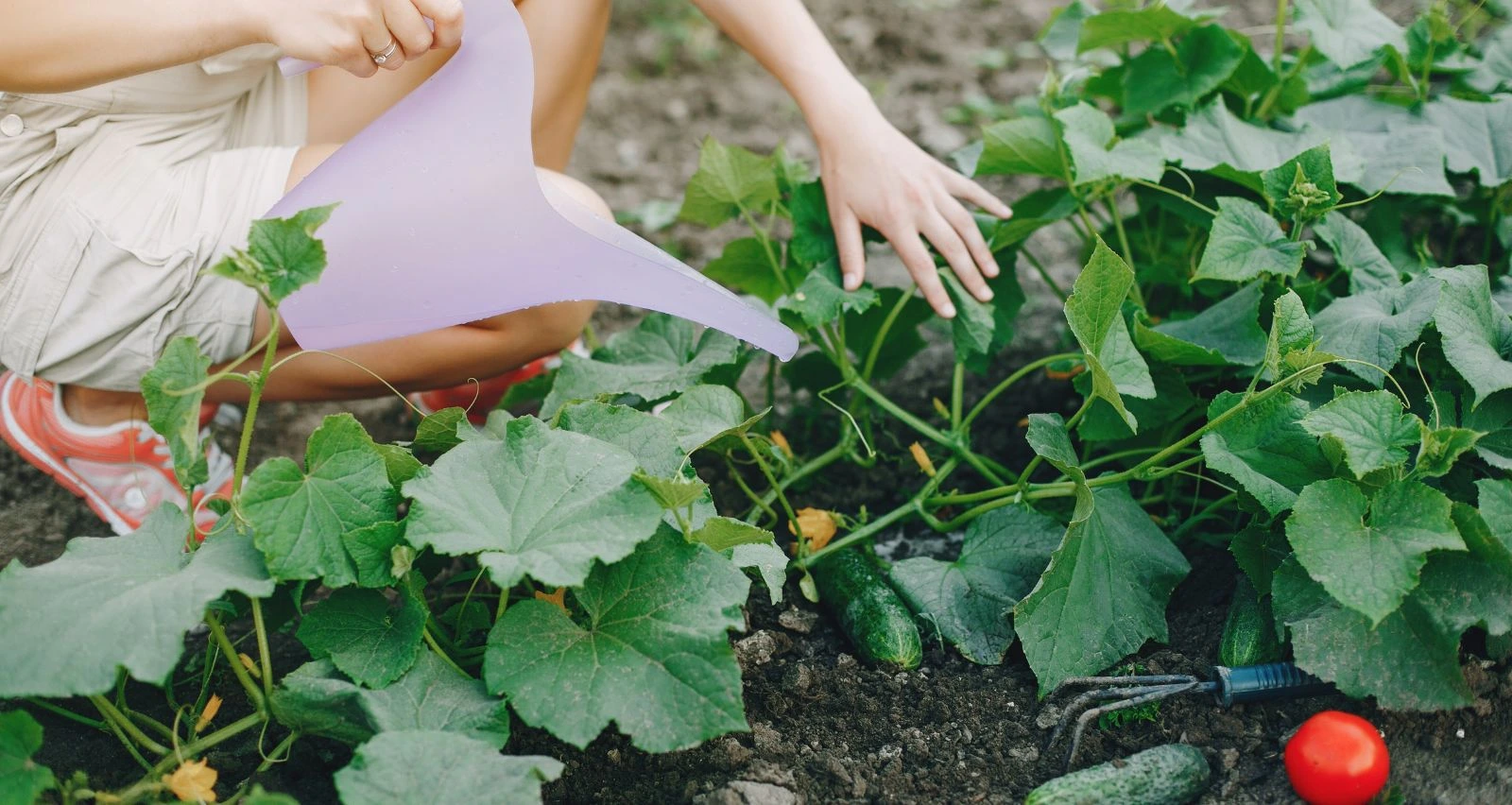 Unlock the Benefits of Organic Gardening at Home