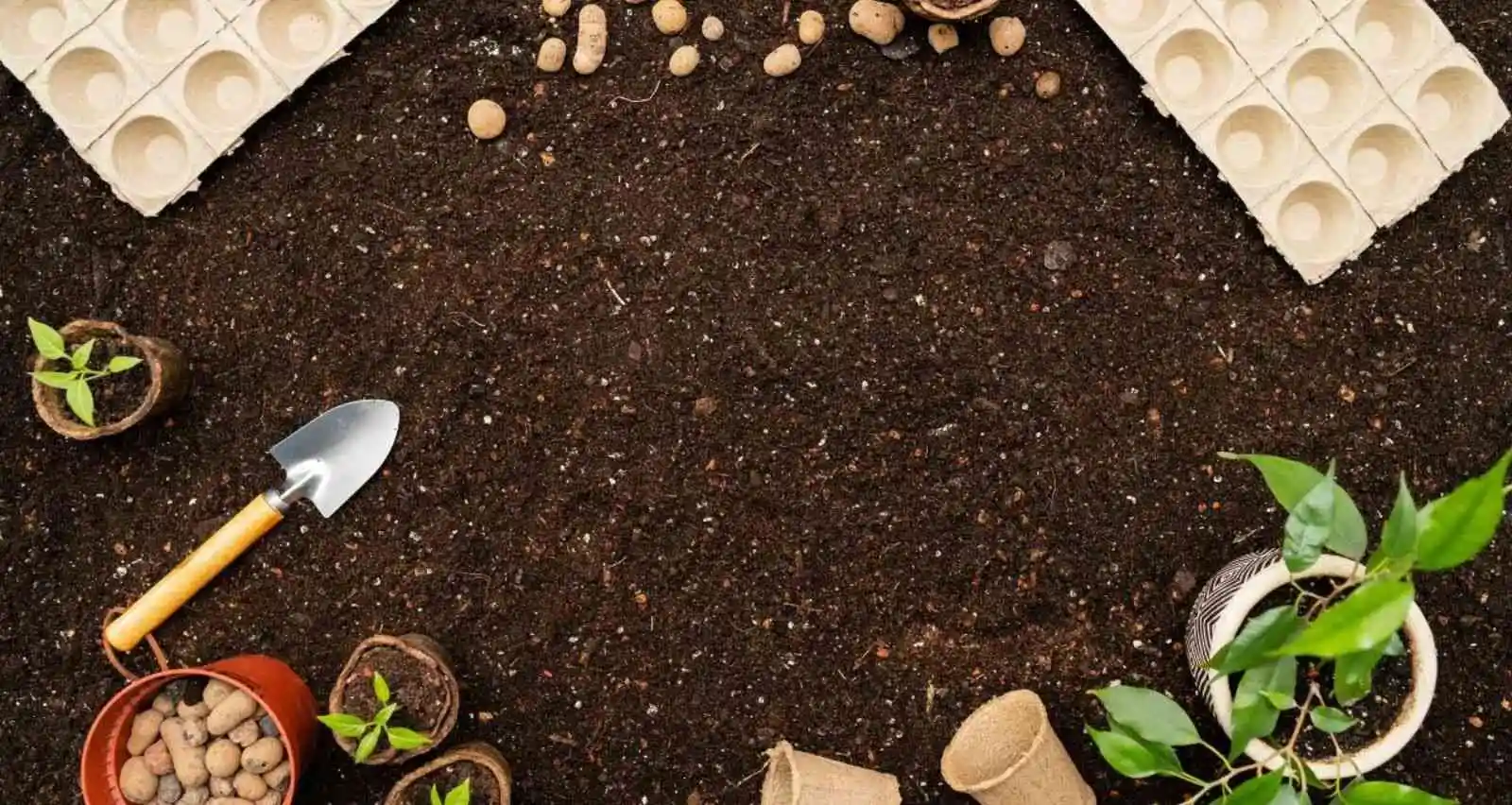 Nowadays, the best organic garden soil for raised beds is the most demandable thing for every gardener. Organic soil is more than just soil; it’s a vital ingredient for thriving gardens and landscapes. Rich in nutrients and full of life, organic topsoil serves as a foundation for healthy plants. This article delves into the essentials of organic garden soil. And its benefits to how you can use it effectively in your garden. Table of Contents What is organic raised bed garden soil? Benefits Of Using Organic Raised Garden Soil How To Use Organic Garden Soil In Your Space How To Choose The Best Organic Soil For Raised Garden Beds Common mistakes to avoid when using organic soil The environmental impact of the organic top layer of soil Can I use bagged garden soil in raised beds? Is garden soil or potting soil better for raised beds? Is garden soil or potting soil better for raised beds? What is a good soil organic matter? What is the soil mixture for raised beds? Is there a difference between garden soil and raised bed soil? What is organic raised bed garden soil? The surface organic layer is the top layer of soil, rich in organic matter. Such as decomposed plants and animals. Let’s take a closer look at its main characteristics: 1.Rich in nutrients The top layer of organic soil contains essential nutrients like nitrogen, phosphorus, and potassium. Which are crucial for plant growth. These nutrients are produced naturally, making them readily available to plant roots. 2. High Organic Matter The presence of decomposed organic matter gives the top layer of organic soil its dark color and fertile quality. Organic matter improves soil structure, moisture retention, and aeration. 3. Biologically active The top layer of organic soil is full of benefits. Like microorganisms, including bacteria, fungi, and earthworms. These organisms decompose organic matter, releasing nutrients that plants can absorb. 4. Sustainable Using organic topsoil promotes sustainable gardening. And reduce the need for chemical fertilizers. It Promotes a natural balance in the soil ecosystem, improving long-term soil health. Benefits Of Using Organic Raised Garden Soil Organic topsoil offers numerous benefits for gardeners and landscapers. Here’s why it’s the preferred choice for many: 1. Improves soil structure Organic matter in the topsoil helps create a crumble. And well-aerated soil structure. The improved structure improves root penetration and water movement through the soil. 2. Improves water retention The organic top layer has excellent moisture retention capacity. And reducing the need for frequent watering. Helps maintain constant soil moisture levels, benefiting plants during dry periods. 3. Increases nutrient availability The natural decomposition of organic matter releases nutrients slowly. And provide a constant supply for plants. This gradual release minimizes the risk of nutrient leaching and ensures long-term fertility. 4. Supports plant health A healthy, organic raised garden soil creates a robust environment for plants. Lead to stronger growth and greater resistance to pests and diseases. Promotes a thriving ecosystem that supports beneficial insects and microorganisms. More Information: Benefits Of Organic Gardening How To Use Organic Garden Soil In Your Space Incorporating organic soil into your garden is easy. However, there are specific techniques to maximize its benefits. Here’s how to do it: 1. Coverage payment Apply a thin layer of organic soil over existing soil to improve soil fertility and structure. This method is ideal for revitalizing tired lawns, flower beds, and vegetable gardens. 2. Soil Amendment Mix organic topsoil with your native soil to improve its quality. Especially if your soil is sandy, clayey, or lacking in organic matter. This combination improves drainage, aeration, and nutrient content. 3. Raised beds Fill raised beds with a mixture of organic soil and compost to achieve optimal growing conditions. Raised beds with organic soil provide better control over soil quality and moisture levels. 4. New plantations When planting trees, shrubs, or flowers, use organic soil to fill the planting hole. This practice ensures that plants are established quickly. And receive the nutrients they need from the start. How To Choose The Best Organic Soil For Raised Garden Beds Not all organic mulches are created equal. Knowing what to look for can help you select the best option for your garden. Here’s a guide to making an informed decision: 1. Check the composition High-quality organic topsoil should have a balance of sand, silt, and clay, with plenty of organic matter. Avoid soils that are heavy in one component or contain large amounts of residue. 2. Look for dark colors Dark brown or black topsoil indicates a high level of organic matter. Which is beneficial for plant growth. Pale or light-colored soils may lack essential nutrients and organic content. 3. Try the texture A good organic topsoil should have a loose, crumbly texture that is easy to work with. It should not be too compacted or contain large clumps, as this can hinder root growth. 4. Check the source Make sure your topsoil comes from a reputable source that follows sustainable practices. Organic certification is a good indicator of quality and compliance with environmental standards. More Information: Benefits Of Organic Gardening Common mistakes to avoid when using organic soil Using organic soil can greatly benefit your garden. However, avoiding certain mistakes is key to success. Here’s what to keep in mind: 1. Overapplication Applying too much organic soil can suffocate plants. And disrupt their root systems. Use organic soil sparingly, especially in established gardens, to avoid these problems. 2. Ignoring soil tests Before adding organic soil, perform a soil test to understand your garden’s specific needs. Soil tests help you determine the correct amount and type of topsoil needed. 3. Preparation for skipping Prepare the area by removing weeds, and debris. And compacted soil before applying the organic top layer. Proper preparation ensures that the topsoil integrates well with the existing soil. 4. Use of low-quality land Poor-quality topsoil can introduce weed seeds, pests, and diseases into your garden. Always choose high-quality, screened organic topsoil to avoid these problems. The environmental impact of the organic top layer of soil Organic topsoil is not only good for your garden, but it is also beneficial for the environment. Here is how using organic topsoil contributes to sustainability: 1. Reduce the use of chemicals The organic top layer reduces the need for synthetic fertilizers and pesticides. Which can harm the environment. Promotes a natural approach to gardening that supports ecological balance. 2. Promotes biodiversity The top layer of organic soil supports a diverse range of soil organisms. And it’s from earthworms to beneficial microbes. This biodiversity is crucial to soil health and the overall resilience of your garden ecosystem. 3. Conserve water The moisture-retaining properties of organic topsoil help conserve water in your garden. Efficient water use reduces pressure on local water resources. And supports sustainable gardening practices. 4. Prevents soil erosion A healthy, organic topsoil helps bind soil particles together, reducing the risk of erosion. This is especially important in areas prone to heavy rain or strong winds. Can I use bagged garden soil in raised beds? Yes, you can use bagged garden soil in raised beds, but it's best to mix it with other materials like compost or peat moss. This improves drainage and provides nutrients. Look for organic options labeled specifically for raised beds. Is garden soil or potting soil better for raised beds? Potting soil is generally better for raised beds because it is lighter and drains well. Garden soil can be too dense, leading to poor drainage. A mix of both might work, but ensure it’s well-aerated and nutrient-rich. Is garden soil or potting soil better for raised beds? Potting soil is generally better for raised beds because it is lighter and drains well. Garden soil can be too dense, leading to poor drainage. A mix of both might work, but ensure it’s well-aerated and nutrient-rich. What is a good soil organic matter? Good soil organic matter for raised beds should be about 5% to 10%. This includes decomposed plant material, compost, or well-rotted manure. It helps retain moisture and provides nutrients to plants. What is the soil mixture for raised beds? A good mixture for raised beds is typically one-third garden soil, one-third compost, and one-third peat moss or coco coir. This blend offers good drainage, aeration, and nutrient content. Is there a difference between garden soil and raised bed soil? Yes, there is a difference. Raised bed soil is specially formulated for better drainage and aeration compared to regular garden soil. It often contains a mix of organic materials to support plant growth in a contained space. Conclusion Organic topsoil is a powerful ally for creating a thriving and sustainable garden. It is rich in nutrients and contains beneficial microorganisms. That helps improve soil structure, making it an invaluable resource for gardeners. By learning how to choose, use, and maintain organic topsoil. You can give your plants the best possible foundation for growth whether you’re starting a new garden or revitalizing an existing one. Organic topsoil provides the essential elements needed for healthy and robust plants.