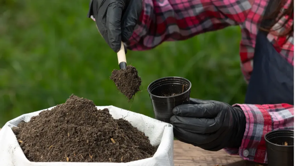 The plants we grow in our gardens and orchards require three main types of nutrients: nitrogen, potassium, and phosphorus. Although other elements like calcium and magnesium are also important for the proper functioning of plants, nitrogen, potassium, and phosphorus are vital for the growth of all vegetables. In this article from HealthNGarden, we teach you the process of making organic fertilizer at home. That would be easy and cheap, based on each essential nutrient. You may also be interested in: The Best Organic Garden Soil For Raised Beds. Table of Contents Making your own organic fertilizer with phosphorus: wood ashes Best homemade organic fertilizer with potassium: banana peels How to make the best fertilizer for coffee plants: How to prepare organic fertilizer with calcium: Eggshells Making organic liquid fertilizer What is a good organic fertilizer for garlic? What is the best organic fertilizer for vegetables? Is urea an organic fertilizer? How to make organic fertilizer from leaves? Conclusion Making your own organic fertilizer with phosphorus: wood ashes The plants we grow in our gardens and orchards require three main types of nutrients: nitrogen, potassium, and phosphorus. Although other elements like calcium and magnesium are also important for the proper functioning of plants, nitrogen, potassium, and phosphorus are vital for the growth of all vegetables. In this article from HealthNGarden, we teach you the process of making organic fertilizer at home. That would be easy and cheap, based on each essential nutrient. You may also be interested in: The Best Organic Garden Soil For Raised Beds. Making your own organic fertilizer with phosphorus: wood ashes Wood is a very abundant material and we can use the ashes resulting from the burning we do in fireplaces to heat our homes. For example, as a very effective organic fertilizer to provide phosphorus to our plants. Although to a lesser extent, the burned remains also contain a small amount of potassium. The simplest way to obtain ash is to use the final result of barbecues or fireplaces. So, to use wood ash as fertilizer, you just have to mix it with water, to dilute its content, and apply it to the plants for irrigation. It is important to do this only 2 or 3 times a year so that it is not excessive. Best homemade organic fertilizer with potassium: banana peels As is well known in popular culture, bananas are a fruit with a high potassium content. This element is also found in large quantities in the peel of this fruit. In this section, we will teach you how to make an organic fertilizer with a high potassium content from banana peels. Ingredients 3 or 4 banana peels 1 liter of water Elaboration First of all, you need to have a few banana peels, which will allow you to make a good extraction from an infusion. 3 or 4 banana peels for each liter of water will be enough. The total amount of fertilizer will depend on the number of plants each person has available. Chop the shells and put them, together with the water, in a pot to boil for approximately 15 minutes. After this time, strain the mixture and let it cool. You now have your fertilizer, which mixed with 2 liters of water, will be ready to apply to your plants. Potassium is a very useful element during flowering or fruiting periods. You can apply it every 10 or 15 days and your plants will notice a great contribution. Which will help the plants grow faster and produce their flowers and fruits. It's the best way to making organic fertilizer from food waste. How to make the best fertilizer for coffee plants: Coffee can be a potential ally against certain pests and diseases. But it also has great potential as an organic fertilizer. Since its nitrogen content is very high, as well as containing other nutrients to a lesser extent and antioxidants. In this section, we will learn a very quick, simple, and cheap way to provide our plants with extra nitrogen. Follow these steps to make Homemade organic fertilizer recipe fertilizers with nitrogen : Collect the coffee grounds from the coffee makers you prepare. Whether they are the ones you use at home every day, or, if you have a large number of plants, you can use the nearby bars and cafes. You can mix these remains with water and let them sit for a few days, or you can apply them directly to the soil. It should be remembered that coffee is a very acidic material. So its use as a fertilizer is only recommended for plants. That requires an acidic substrate, such as hydrangeas, camellias, and gardenias. How to prepare organic fertilizer with calcium: eggshells Finally, we will tell you a very quick, simple, and also cheap way to provide your plants with extra calcium. These are eggshells since their content is 95% calcium, and to a lesser extent nitrogen. This is a very simple but effective organic fertilizer making process, you just need to follow these instructions: Collects a large number of eggshells. Wash them if they still contain any residue and crush them. They can also be applied directly to the soil, although absorption by the plants will then be slower. Calcium is not an essential nutrient, nor is it one that the plant needs most. However as mentioned above, some secondary elements can play a decisive role in some specific plant processes. Calcium contributions can help solve problems related to the cultivation of some vegetables. Blossom end rot is a problem that can affect tomatoes, eggplants, and peppers. If you want to know about the benefits of organic gardening, we recommend that you enter our page Benefits of Organic Gardening at Home. FAQ Making organic liquid fertilizer How to make organic liquid fertilizer at home: Making organic liquid fertilizer is good for plants and also costs less. You can make organic liquid fertilizer using kitchen scraps, grass clippings, or even manure. A simple method is to fill a container with these organic materials, add water, and let it steep for a few weeks. Stir the mixture occasionally. Once it's ready, strain the liquid and use it to water your plants. What is a good organic fertilizer for garlic: Garlic thrives with fertilizers high in nitrogen. Blood meal or composted manure are excellent organic options. They help promote healthy growth and enhance the flavor of the garlic10. What is the best organic fertilizer for vegetables: The best homemade organic fertilizers for vegetables include compost and well-rotted manure. Fish emulsion is another excellent option. These provide balanced nutrients essential for vegetable growth and improve soil health9. Is urea an organic fertilizer: Urea is not considered an organic fertilizer. It is a synthetic compound, though it does contain nitrogen, which is beneficial for plants. Organic alternatives include compost or manure, which provide similar nutrients naturally3. How to make organic fertilizer from leaves: To make organic fertilizer from leaves, gather fallen leaves and let them decompose. You can speed up the process by chopping them and keeping them moist in a compost bin. Over time, they will break down into rich leaf mold, which you can use to enrich your garden soil. Conclusion Making your own organic fertilizers at home is easy and cost-effective. Use everyday materials like wood ashes, banana peels, coffee grounds, eggshells, and kitchen scraps. These items are rich in nutrients like phosphorus, potassium, nitrogen, and calcium. They are readily available and fit well into your gardening routine. Natural fertilizers improve plant growth and support sustainable gardening. They are perfect for enriching soil, supporting flowering plants, or meeting specific plant needs. Homemade organic fertilizers are versatile and eco-friendly. Enjoy lush plants with these simple, homemade solutions. For more on organic gardening, explore our page on the Benefits of Organic Gardening at Home. Wood is a very abundant material and we can use the ashes resulting from the burning we do in fireplaces to heat our homes. For example, as a very effective organic fertilizer to provide phosphorus to our plants. Although to a lesser extent, the burned remains also contain a small amount of potassium. The simplest way to obtain ash is to use the final result of barbecues or fireplaces. So, to use wood ash as fertilizer, you just have to mix it with water, to dilute its content, and apply it to the plants for irrigation. It is important to do this only 2 or 3 times a year so that it is not excessive. Best homemade organic fertilizer with potassium: banana peels The plants we grow in our gardens and orchards require three main types of nutrients: nitrogen, potassium, and phosphorus. Although other elements like calcium and magnesium are also important for the proper functioning of plants, nitrogen, potassium, and phosphorus are vital for the growth of all vegetables. In this article from HealthNGarden, we teach you the process of making organic fertilizer at home. That would be easy and cheap, based on each essential nutrient. You may also be interested in: The Best Organic Garden Soil For Raised Beds. Making your own organic fertilizer with phosphorus: wood ashes Wood is a very abundant material and we can use the ashes resulting from the burning we do in fireplaces to heat our homes. For example, as a very effective organic fertilizer to provide phosphorus to our plants. Although to a lesser extent, the burned remains also contain a small amount of potassium. The simplest way to obtain ash is to use the final result of barbecues or fireplaces. So, to use wood ash as fertilizer, you just have to mix it with water, to dilute its content, and apply it to the plants for irrigation. It is important to do this only 2 or 3 times a year so that it is not excessive. Best homemade organic fertilizer with potassium: banana peels As is well known in popular culture, bananas are a fruit with a high potassium content. This element is also found in large quantities in the peel of this fruit. In this section, we will teach you how to make an organic fertilizer with a high potassium content from banana peels. Ingredients 3 or 4 banana peels 1 liter of water Elaboration First of all, you need to have a few banana peels, which will allow you to make a good extraction from an infusion. 3 or 4 banana peels for each liter of water will be enough. The total amount of fertilizer will depend on the number of plants each person has available. Chop the shells and put them, together with the water, in a pot to boil for approximately 15 minutes. After this time, strain the mixture and let it cool. You now have your fertilizer, which mixed with 2 liters of water, will be ready to apply to your plants. Potassium is a very useful element during flowering or fruiting periods. You can apply it every 10 or 15 days and your plants will notice a great contribution. Which will help the plants grow faster and produce their flowers and fruits. It's the best way to making organic fertilizer from food waste. How to make the best fertilizer for coffee plants: Coffee can be a potential ally against certain pests and diseases. But it also has great potential as an organic fertilizer. Since its nitrogen content is very high, as well as containing other nutrients to a lesser extent and antioxidants. In this section, we will learn a very quick, simple, and cheap way to provide our plants with extra nitrogen. Follow these steps to make Homemade organic fertilizer recipe fertilizers with nitrogen : Collect the coffee grounds from the coffee makers you prepare. Whether they are the ones you use at home every day, or, if you have a large number of plants, you can use the nearby bars and cafes. You can mix these remains with water and let them sit for a few days, or you can apply them directly to the soil. It should be remembered that coffee is a very acidic material. So its use as a fertilizer is only recommended for plants. That requires an acidic substrate, such as hydrangeas, camellias, and gardenias. How to prepare organic fertilizer with calcium: eggshells Finally, we will tell you a very quick, simple, and also cheap way to provide your plants with extra calcium. These are eggshells since their content is 95% calcium, and to a lesser extent nitrogen. This is a very simple but effective organic fertilizer making process, you just need to follow these instructions: Collects a large number of eggshells. Wash them if they still contain any residue and crush them. They can also be applied directly to the soil, although absorption by the plants will then be slower. Calcium is not an essential nutrient, nor is it one that the plant needs most. However as mentioned above, some secondary elements can play a decisive role in some specific plant processes. Calcium contributions can help solve problems related to the cultivation of some vegetables. Blossom end rot is a problem that can affect tomatoes, eggplants, and peppers. If you want to know about the benefits of organic gardening, we recommend that you enter our page Benefits of Organic Gardening at Home. FAQ Making organic liquid fertilizer How to make organic liquid fertilizer at home: Making organic liquid fertilizer is good for plants and also costs less. You can make organic liquid fertilizer using kitchen scraps, grass clippings, or even manure. A simple method is to fill a container with these organic materials, add water, and let it steep for a few weeks. Stir the mixture occasionally. Once it's ready, strain the liquid and use it to water your plants. What is a good organic fertilizer for garlic: Garlic thrives with fertilizers high in nitrogen. Blood meal or composted manure are excellent organic options. They help promote healthy growth and enhance the flavor of the garlic10. What is the best organic fertilizer for vegetables: The best homemade organic fertilizers for vegetables include compost and well-rotted manure. Fish emulsion is another excellent option. These provide balanced nutrients essential for vegetable growth and improve soil health9. Is urea an organic fertilizer: Urea is not considered an organic fertilizer. It is a synthetic compound, though it does contain nitrogen, which is beneficial for plants. Organic alternatives include compost or manure, which provide similar nutrients naturally3. How to make organic fertilizer from leaves: To make organic fertilizer from leaves, gather fallen leaves and let them decompose. You can speed up the process by chopping them and keeping them moist in a compost bin. Over time, they will break down into rich leaf mold, which you can use to enrich your garden soil. Conclusion Making your own organic fertilizers at home is easy and cost-effective. Use everyday materials like wood ashes, banana peels, coffee grounds, eggshells, and kitchen scraps. These items are rich in nutrients like phosphorus, potassium, nitrogen, and calcium. They are readily available and fit well into your gardening routine. Natural fertilizers improve plant growth and support sustainable gardening. They are perfect for enriching soil, supporting flowering plants, or meeting specific plant needs. Homemade organic fertilizers are versatile and eco-friendly. Enjoy lush plants with these simple, homemade solutions. For more on organic gardening, explore our page on the Benefits of Organic Gardening at Home. As is well known in popular culture, bananas are a fruit with a high potassium content. This element is also found in large quantities in the peel of this fruit. In this section, we will teach you how to make an organic fertilizer with a high potassium content from banana peels. The simplest way to obtain ash is to use the final result of barbecues or fireplaces. So, to use wood ash as fertilizer, you just have to mix it with water, to dilute its content, and apply it to the plants for irrigation. It is important to do this only 2 or 3 times a year so that it is not excessive. Ingredients 3 or 4 banana peels 1 liter of water Elaboration First of all, you need to have a few banana peels, which will allow you to make a good extraction from an infusion. 3 or 4 banana peels for each liter of water will be enough. The total amount of fertilizer will depend on the number of plants each person has available. Chop the shells and put them, together with the water, in a pot to boil for approximately 15 minutes. After this time, strain the mixture and let it cool. You now have your fertilizer, which mixed with 2 liters of water, will be ready to apply to your plants. Potassium is a very useful element during flowering or fruiting periods. You can apply it every 10 or 15 days and your plants will notice a great contribution. Which will help the plants grow faster and produce their flowers and fruits. It’s the best way to making organic fertilizer from food waste. How to make the best fertilizer for coffee plants: Coffee can be a potential ally against certain pests and diseases. But it also has great potential as an organic fertilizer. Since its nitrogen content is very high, as well as containing other nutrients to a lesser extent and antioxidants. In this section, we will learn a very quick, simple, and cheap way to provide our plants with extra nitrogen. Follow these steps to make Homemade organic fertilizer recipe fertilizers with nitrogen : Collect the coffee grounds from the coffee makers you prepare. Whether they are the ones you use at home every day, or, if you have a large number of plants, you can use the nearby bars and cafes. You can mix these remains with water and let them sit for a few days, or you can apply them directly to the soil. It should be remembered that coffee is a very acidic material. So its use as a fertilizer is only recommended for plants. That requires an acidic substrate, such as hydrangeas, camellias, and gardenias. How to prepare organic fertilizer with calcium: Eggshells The plants we grow in our gardens and orchards require three main types of nutrients: nitrogen, potassium, and phosphorus. Although other elements like calcium and magnesium are also important for the proper functioning of plants, nitrogen, potassium, and phosphorus are vital for the growth of all vegetables. In this article from HealthNGarden, we teach you the process of making organic fertilizer at home. That would be easy and cheap, based on each essential nutrient. You may also be interested in: The Best Organic Garden Soil For Raised Beds. Making your own organic fertilizer with phosphorus: wood ashes Wood is a very abundant material and we can use the ashes resulting from the burning we do in fireplaces to heat our homes. For example, as a very effective organic fertilizer to provide phosphorus to our plants. Although to a lesser extent, the burned remains also contain a small amount of potassium. The simplest way to obtain ash is to use the final result of barbecues or fireplaces. So, to use wood ash as fertilizer, you just have to mix it with water, to dilute its content, and apply it to the plants for irrigation. It is important to do this only 2 or 3 times a year so that it is not excessive. Best homemade organic fertilizer with potassium: banana peels As is well known in popular culture, bananas are a fruit with a high potassium content. This element is also found in large quantities in the peel of this fruit. In this section, we will teach you how to make an organic fertilizer with a high potassium content from banana peels. Ingredients 3 or 4 banana peels 1 liter of water Elaboration First of all, you need to have a few banana peels, which will allow you to make a good extraction from an infusion. 3 or 4 banana peels for each liter of water will be enough. The total amount of fertilizer will depend on the number of plants each person has available. Chop the shells and put them, together with the water, in a pot to boil for approximately 15 minutes. After this time, strain the mixture and let it cool. You now have your fertilizer, which mixed with 2 liters of water, will be ready to apply to your plants. Potassium is a very useful element during flowering or fruiting periods. You can apply it every 10 or 15 days and your plants will notice a great contribution. Which will help the plants grow faster and produce their flowers and fruits. It's the best way to making organic fertilizer from food waste. How to make the best fertilizer for coffee plants: Coffee can be a potential ally against certain pests and diseases. But it also has great potential as an organic fertilizer. Since its nitrogen content is very high, as well as containing other nutrients to a lesser extent and antioxidants. In this section, we will learn a very quick, simple, and cheap way to provide our plants with extra nitrogen. Follow these steps to make Homemade organic fertilizer recipe fertilizers with nitrogen : Collect the coffee grounds from the coffee makers you prepare. Whether they are the ones you use at home every day, or, if you have a large number of plants, you can use the nearby bars and cafes. You can mix these remains with water and let them sit for a few days, or you can apply them directly to the soil. It should be remembered that coffee is a very acidic material. So its use as a fertilizer is only recommended for plants. That requires an acidic substrate, such as hydrangeas, camellias, and gardenias. How to prepare organic fertilizer with calcium: eggshells Finally, we will tell you a very quick, simple, and also cheap way to provide your plants with extra calcium. These are eggshells since their content is 95% calcium, and to a lesser extent nitrogen. This is a very simple but effective organic fertilizer making process, you just need to follow these instructions: Collects a large number of eggshells. Wash them if they still contain any residue and crush them. They can also be applied directly to the soil, although absorption by the plants will then be slower. Calcium is not an essential nutrient, nor is it one that the plant needs most. However as mentioned above, some secondary elements can play a decisive role in some specific plant processes. Calcium contributions can help solve problems related to the cultivation of some vegetables. Blossom end rot is a problem that can affect tomatoes, eggplants, and peppers. If you want to know about the benefits of organic gardening, we recommend that you enter our page Benefits of Organic Gardening at Home. FAQ Making organic liquid fertilizer How to make organic liquid fertilizer at home: Making organic liquid fertilizer is good for plants and also costs less. You can make organic liquid fertilizer using kitchen scraps, grass clippings, or even manure. A simple method is to fill a container with these organic materials, add water, and let it steep for a few weeks. Stir the mixture occasionally. Once it's ready, strain the liquid and use it to water your plants. What is a good organic fertilizer for garlic: Garlic thrives with fertilizers high in nitrogen. Blood meal or composted manure are excellent organic options. They help promote healthy growth and enhance the flavor of the garlic10. What is the best organic fertilizer for vegetables: The best homemade organic fertilizers for vegetables include compost and well-rotted manure. Fish emulsion is another excellent option. These provide balanced nutrients essential for vegetable growth and improve soil health9. Is urea an organic fertilizer: Urea is not considered an organic fertilizer. It is a synthetic compound, though it does contain nitrogen, which is beneficial for plants. Organic alternatives include compost or manure, which provide similar nutrients naturally3. How to make organic fertilizer from leaves: To make organic fertilizer from leaves, gather fallen leaves and let them decompose. You can speed up the process by chopping them and keeping them moist in a compost bin. Over time, they will break down into rich leaf mold, which you can use to enrich your garden soil. Conclusion Making your own organic fertilizers at home is easy and cost-effective. Use everyday materials like wood ashes, banana peels, coffee grounds, eggshells, and kitchen scraps. These items are rich in nutrients like phosphorus, potassium, nitrogen, and calcium. They are readily available and fit well into your gardening routine. Natural fertilizers improve plant growth and support sustainable gardening. They are perfect for enriching soil, supporting flowering plants, or meeting specific plant needs. Homemade organic fertilizers are versatile and eco-friendly. Enjoy lush plants with these simple, homemade solutions. For more on organic gardening, explore our page on the Benefits of Organic Gardening at Home. Finally, we will tell you a very quick, simple, and also cheap way to provide your plants with extra calcium. These are eggshells since their content is 95% calcium, and to a lesser extent nitrogen. This is a very simple but effective organic fertilizer making process, you just need to follow these instructions: Collects a large number of eggshells. Wash them if they still contain any residue and crush them. They can also be applied directly to the soil, although absorption by the plants will then be slower. Calcium is not an essential nutrient, nor is it one that the plant needs most. However as mentioned above, some secondary elements can play a decisive role in some specific plant processes. Calcium contributions can help solve problems related to the cultivation of some vegetables. Blossom end rot is a problem that can affect tomatoes, eggplants, and peppers. If you want to know about the benefits of organic gardening, we recommend that you enter our page Benefits of Organic Gardening at Home. Making organic liquid fertilizer How to make organic liquid fertilizer at home: Making organic liquid fertilizer is good for plants and also costs less. You can make organic liquid fertilizer using kitchen scraps, grass clippings, or even manure. A simple method is to fill a container with these organic materials, add water, and let it steep for a few weeks. Stir the mixture occasionally. Once it's ready, strain the liquid and use it to water your plants. What is a good organic fertilizer for garlic? Garlic thrives with fertilizers high in nitrogen. Blood meal or composted manure are excellent organic options. They help promote healthy growth and enhance the flavor of the garlic10. What is the best organic fertilizer for vegetables? The best homemade organic fertilizers for vegetables include compost and well-rotted manure. Fish emulsion is another excellent option. These provide balanced nutrients essential for vegetable growth and improve soil health. Is urea an organic fertilizer? Urea is not considered an organic fertilizer. It is a synthetic compound, though it does contain nitrogen, which is beneficial for plants. Organic alternatives include compost or manure, which provide similar nutrients naturally. How to make organic fertilizer from leaves? To make organic fertilizer from leaves, gather fallen leaves and let them decompose. You can speed up the process by chopping them and keeping them moist in a compost bin. Over time, they will break down into rich leaf mold, which you can use to enrich your garden soil. Conclusion Making your own organic fertilizers at home is easy and cost-effective. Use everyday materials like wood ashes, banana peels, coffee grounds, eggshells, and kitchen scraps. These items are rich in nutrients like phosphorus, potassium, nitrogen, and calcium. They are readily available and fit well into your gardening routine. Natural fertilizers improve plant growth and support sustainable gardening. They are perfect for enriching soil, supporting flowering plants, or meeting specific plant needs. Homemade organic fertilizers are versatile and eco-friendly. Enjoy lush plants with these simple, homemade solutions. For more on organic gardening, explore our page on the Benefits of Organic Gardening at Home.