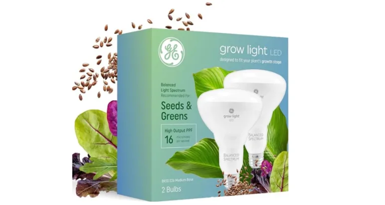 If you're looking for a budget-friendly and flexible the best LED grow light bulbs for indoor plants that fit most standard lamps. The GE Grow Light LED Indoor Flood Light Bulb is a great choice. We've tested this bulb several times and found it to be an excellent option for both new and experienced indoor gardeners. Operating at 120 volts, this bulb easily fits into most standard lamps. So you don't need extra equipment. And it will seamlessly blend with your existing decor. Initially, we used it with a desk lamp attached to a bookshelf. The bulb allows easy adjustment to fit your plant’s needs. Recently, we tested it with a flood light socket on one of our grow light stands to better suit different plants. This bulb has an expanded red spectrum. This feature makes it ideal for growing tomatoes, cucumbers, peppers, fruit trees, and flowers. Installing it is as simple as screwing in a lightbulb. The package includes helpful guidance on optimal heights for different plants. For best results, it's suggested to use the light for 18 hours a day. Although it doesn’t include a timer, you can use your own. Additionally, it's a great solution for bringing outdoor plants indoors during the winter. We had success growing a coleus, cilantro, and a cucumber seedling indoors using this bulb. Unlike other grow lights, this one needs replacing after several months of use. But it’s available in packs of four, ensuring you always have a spare. It resembles a flood light in brightness but remains lightweight for easy movement. One downside we encountered was a humming noise when the bulb was on, which became more noticeable over time. We suggest placing it where the sound won’t be bothersome. Overall, this bulb is an effective way to give extra light to a plant or a small group of plants. Size: 4.06 x 5.94 inches | Type: LED| Wattage: 9 watts