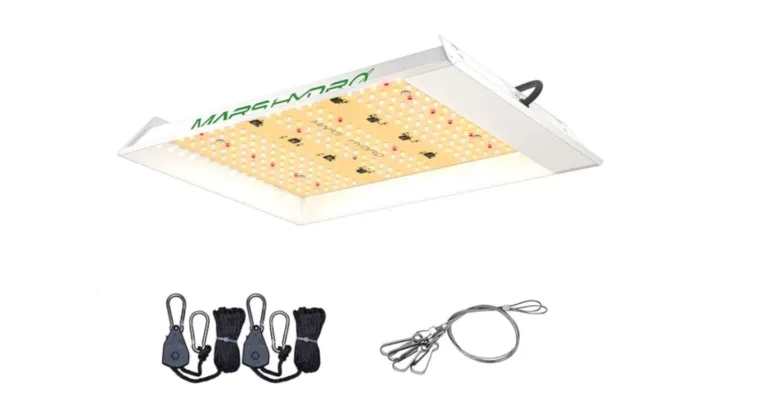 The Mars Hydro LED Grow Light is ideal for plant growth in basements or other designated areas at home. The functional grow light allows you to connect many lights to the same control panel. Which makes it suitable for significant plant collections. Installing the lamp requires a few steps but only takes 8 minutes to complete. Your setup time may vary depending on your experience and if you are connecting several lights. In our basement, the light served as a "mini sun." It was bright enough to grow lettuce in the winter and plant seedlings early. However, it did not perform as well for fruiting or flowering plants, probably due to differences in lighting or pollination. Other plants showed noticeably better growth compared to those without a growth light. We produced basil and thyme throughout the winter, supplying fresh herbs for our kitchen. This grow light covers the entire spectrum but lacks an embedded timer. So, we utilized our own to ensure proper lighting. The control panel features a dimmer for shifting brightness, which we liked. The light was set up in our basement, so brightness was not an issue. If you put this light in a grow tent, cabinet, or behind a shelf. It may be more appropriate for non-basement environments. There is no cable control system, which is not an issue in a specialized area. Sizes: 5.5 x 17.3 x 16.9 inches, with an LED light, Wattage is not provided.