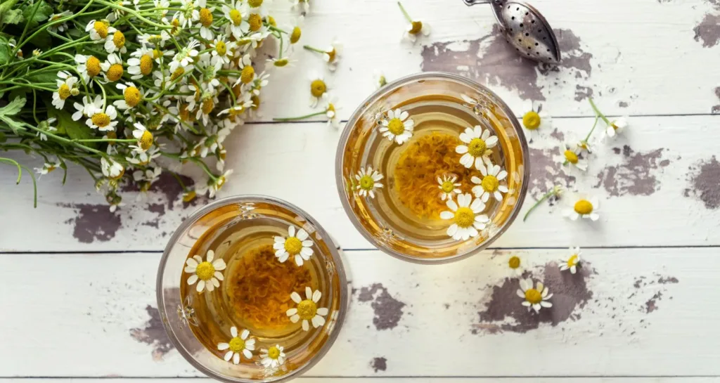 The best Chamomile tea is a popular tea known for its many health benefits. Native to Europe and Western Asia, chamomile has been used for centuries for its healing and calming properties. This infusion, made from the dried flowers of the chamomile plant, offers many benefits, ranging from reducing anxiety to relieving digestive disorders. One of the main benefits of chamomile tea is its ability to calm anxiety and promote relaxation. Chamomile's natural soothing properties help reduce stress and tension. They are making it a popular choice for those seeking relief from nervousness and agitation. Drinking a cup of chamomile tea before bed can help improve sleep quality and promote an overall sense of well-being. In addition to its calming effects, chamomile tea is also known for its decongestant properties. Inhaled while hot, the steam from the tea can help open up congested airways and relieve nasal congestion and coughing. This quality makes chamomile tea especially helpful during colds and flu, as it can help relieve respiratory symptoms and make breathing easier. Another important benefit of chamomile tea is its ability to reduce inflammation in the intestines. It also reduces and relieves digestive disorders. Chamomile has anti-inflammatory compounds that reduce inflammation in the digestive tract. It can help with conditions like gastritis, IBS, and indigestion. Chamomile tea also has carminative properties. It can relieve gas, menstrual pain, and bloating. All in all, Chamomile tea is a versatile herbal drink with many health benefits. It helps calm anxiety and clear the respiratory tract. It also reduces intestinal inflammation and eases digestive issues. Chamomile is a popular choice for natural wellness. What is Chamomile? Chamomile is a plant with white and yellow flowers. Its name comes from its scent, which is reminiscent of the aroma of an apple. It is considered one of the most popular medicinal plants in Mexico. Although chamomile is thought to be native to Europe, it is most commonly found in Mexico and North America. Chamomile grows around places with lots of grass. It also grows in dry, high-altitude terrain, at an altitude of between 1,200 and 2,000 meters. It adapts well to dry, sandy places in the mountains, but it is also grown in gardens. Pure chamomile tea health benefits and side effects Chamomile tea is well-known for its health benefits. It has anti-inflammatory and antiseptic properties that improve liver function and reduce inflammation. Chamomile also helps with digestive health, relieving stomach discomfort. A study from Kharkiv Karazin National University in Ukraine found that chamomile flavonoids protect the liver from toxins. Regular chamomile tea can improve sleep quality. And reduce symptoms of insomnia and depression. Why chamomile Tea is good for digestive health Chamomile tea is widely known for its positive effects on the digestive system. It helps relieve indigestion, nausea, and colic. Its antispasmodic properties relax the muscles of the gastrointestinal tract. And easing food passage and reducing discomfort. The anti-inflammatory power of chamomile also helps with poor digestion and heartburn. Some experts suggest drinking it after meals to aid digestion and prevent stomach issues. Additionally, chamomile helps stimulate bile production from the gallbladder. Also supports liver and digestive health. Why chamomile tea helps fight insomnia Insomnia is a sleep disorder that causes difficulties in falling or staying asleep. Chamomile tea is one of the most effective natural solutions to combat this problem. Due to its mild sedative effects. It contains antioxidants such as apigenin. Which binds to receptors in the brain and helps induce relaxation and improve sleep quality. A 2016 study of new mothers showed that daily consumption of chamomile tea for two weeks significantly improved sleep quality. It also helped reduce symptoms of depression. Another study in 2017 shows that higher doses of chamomile extract also improved sleep in older adults. These findings suggest that chamomile may be an effective aid in promoting restful sleep and reducing anxiety and stress. Chamomile tea recipe: Chamomile tea has long value as a natural remedy for a variety of health concerns. From easing anxiety and improving sleep to aiding digestion. Its soothing, anti-inflammatory qualities also make it a popular ingredient in skincare products. Now, let’s dive into a simple chamomile tea recipe to share and enjoy with your loved ones! Ingredients: 4 cups of water (filtered or bottled if your tap water isn’t ideal) 4 chamomile tea bags (or 2 tablespoons of dried chamomile flowers) Honey or lemon (optional) Instructions: Begin by boiling the water. Place the best chamomile tea bags or dried flowers in a teapot, then pour the hot water over them. Let the tea steep for about 5 minutes. Carefully pour the tea into cups through a strainer. Add honey or lemon to taste, if desired. Your soothing chamomile tea is ready to enjoy! Our Top Pick 7 best Organic Chamomile tea Twinings Pure Camomile Tea Twinings Pure Camomile Tea is a solid choice. It’s simple, just as you’d expect from a good camomile tea, with no added extras. I reviewed it to find the best brewing time and see how it compares to other camomile teas. So far, Whittard of Chelsea and Teapigs have impressed me with their loose-leaf and pyramid tea options. Here’s how Twinings measures up against them. Twinings Camomile Tea Overview Izzy's Rating: 3.4 out of 5 Blend: Pure camomile! Flavor: Dark, golden, and very heady camomile with a thick, syrupy mouthfeel I really enjoyed this tea. It’s fresh, rich, and full of flavor. Many herbal teas are either too weak or too strong, with flavors like anise and ginger. But this one is just perfect with every sip. The packaging may be different in the UK and USA, but the tea inside is the same. Harney & Sons Chamomile Herbal Tea Izzy’s Rating: 3.8 out of 5 Harney & Sons Chamomile Herbal Tea brings a subtle, soothing chamomile experience. It is sourced from Egypt's finest flower heads, with no fillers or extenders. This caffeine-free blend offers a naturally sweet and floral taste, perfect for relaxation. Each tin contains 20 sachets, with each sachet brewing a generous 12 oz. cup. To enjoy the full flavor, simply steep one sachet in 212°F filtered water for 4 to 5 minutes. Each cup brings the rich history of chamomile, enjoyed across cultures for centuries. Harney & Sons’ dedication to quality extends beyond taste: as a member of 1% for the Planet. The company donates a part of its sales to environmental causes. Family-owned for over 30 years, they remain committed to delivering premium tea. While educating customers on tea history and appreciation. For a reliable, mild, and environmentally conscious chamomile tea. The Harney & Sons Chamomile is a wonderful choice. You can explore more of their quality teas on their official website. Taylors of Harrogate Chamomile Tea Izzy’s Rating: 4.1 out of 5 Taylors of Harrogate Organic Chamomile Herbal Tea offers a comforting and delicate chamomile experience. With a subtly honeyed flavor that’s both soothing and refreshing. Made with organic chamomile and completely caffeine-free, this tea is perfect for winding down at any time of day. Each cup is easy to prepare simply steep one tea bag in freshly boiled water for 4-5 minutes. The natural chamomile taste can be enjoyed pure or with a touch of honey for added sweetness. Taylors of Harrogate is committed to sustainability. They are a Carbon Neutral Certified company and a member of the Ethical Tea Partnership. They also hold Rainforest Alliance certification. This reflects their focus on ethical sourcing and environmental responsibility. For a pure, organic, and responsibly sourced chamomile tea. Taylors of Harrogate offers a reliable, relaxing experience. FullChea - Chamomile Tea Izzy’s Rating: 4.3 out of 5 FullChea Chamomile Tea Bags provide a premium chamomile experience. Made with fresh, hand-picked chamomile flowers, it contains no artificial additives. This tea is known for its calming effects, helping you unwind and promoting a restful sleep. Each sip offers a fresh, herbaceous flavor with a subtle floral sweetness. It is perfect for relaxation after a long day. Each resealable pack contains 50 tea bags, made with high-quality, glue-free, food-grade materials to keep your tea fresh and safe. FullChea's chamomile tea not only calms but also supports the immune system. Also, it provides aids digestion and promotes healthy skin. It’s a perfect herbal tea for both kids and adults, offering a well-rounded, soothing experience. FRESHDRINKUS, Premium 135 Chamomile Tea Izzy’s Rating: 4.4 out of 5 FRESHDRINKUS Premium Chamomile Tea delivers a pure, natural chamomile experience. It has no additives or artificial flavors. It is made from freshly picked and naturally dried chamomile flowers. Each tea bag is crafted to preserve the authentic flavor and calming aroma. Packaged in a resealable bag with 135 biodegradable tea bags made of eco-friendly corn fiber. This chamomile tea is ideal for those seeking an environmentally conscious choice. The tea is sugar-free, caffeine-free, and vegan. Also, it's providing a gentle, soothing cup that’s perfect for relaxation anytime. Convenient for busy lifestyles, you can enjoy this tea at home or on the go. Savor it hot with a touch of honey for added sweetness. Plus, the brand’s satisfaction assurance ensures they focus on customer happiness. They make it a dependable choice for chamomile tea lovers. HANDPICK, Chamomile Tea Bags HANDPICK Chamomile Tea Bags offer a pure, tranquil tea experience. It is made from the finest chamomile flowers. Each bag releases a gentle floral aroma, creating a calming experience perfect for unwinding. This tea is non-GMO verified, caffeine-free, and ethical source. And showcasing the brand’s commitment to quality and sustainability. Packaged in eco-friendly bags free from dyes, chemicals, and adhesives. HANDPICK provides a clean, pure chamomile tea that’s safe for you and the environment. The brand goes further with Carbon-Neutral and Plastic-Neutral certifications. Also Actively support the environmental sustainability initiatives. Ideal for those seeking balance, HANDPICK Chamomile Tea is a soothing addition to any routine, with no added preservatives. For a delicious, sustainable, and eco-friendly chamomile tea, HANDPICK is an excellent choice. Bigelow Tea Cozy Chamomile Herbal Tea Izzy’s Rating: 4.2 out of 5 Bigelow Cozy Chamomile Herbal Tea offers a soothing, calming experience. It also features whole chamomile flowers for a naturally sweet and floral flavor. This caffeine-free herbal tea is perfect for winding down after a long day or preparing for a restful night's sleep. Each box contains 120 individually Wrapped tea bags. It ensures that each cup maintains peak flavor and freshness. Easy steep one tea bag in hot water for a few minutes to unlock its aromatic, tranquil benefits. Bigelow’s commitment to quality is evident in its dedication to sustainable practices. With the brand being a Certified B Corporation. Which reflects its high standards for social and environmental impact. Family-owned since 1945, Bigelow is known for producing premium tea blends. It can be enjoyed at any time of the day. For a flavorful, comforting chamomile tea with a rich history of quality, Bigelow’s Cozy Chamomile is a great option. Explore more of their variety of teas on their website. How to Make Chamomile Tea? To make chamomile tea, add one tea bag or one teaspoon of loose chamomile flowers to a cup. Pour hot water over it and let it steep for 5 to 7 minutes. Remove the tea bag or strain the leaves. Enjoy! What is Chamomile Tea Good For? Chamomile tea is known for its calming effects. It can help with sleep, reduce stress, and soothe an upset stomach. It also has anti-inflammatory and antioxidant properties. Is It Ok to Drink Chamomile Tea Every Day? Yes, drinking chamomile tea daily is safe for most people. It’s gentle and can help with relaxation, sleep, and digestion. However, if you're pregnant or allergic to plants in the daisy family, consult your doctor first. Which Brand of Chamomile Tea is Best? Some of the best chamomile tea brands include Twinings, Teapigs, and Whittard of Chelsea. These brands offer high-quality tea that’s both flavorful and relaxing. What Does Chamomile Tea Taste Like? Chamomile tea has a mild, floral taste with hints of sweetness. It’s light, soothing, and often described as calming and refreshing. The best temperature for chamomile tea  The best temp for chamomile tea bags is between 200°F (93°C) and 212°F (100°C). This is just below boiling. Water that’s too hot can make the tea taste bitter, while water that’s too cool might not release the full flavor. Steep your chamomile tea for 5 to 7 minutes for the best taste and benefits. Which chamomile is best for tea? The best chamomile for tea is German Chamomile (Matricaria recutita). It has a sweet, gentle flavor and is known for its calming and soothing properties. Another variety is Roman Chamomile (Chamaemelum nobile). It is also used in teas but has a slightly stronger, more herbal taste. German chamomile is more commonly found in tea blends and is preferred for its mild, pleasant flavor and relaxation benefits. Conclusion In conclusion, the best chamomile tea offers great flavor and relaxation. Whether you want better sleep, stress relief, or just a soothing drink, there’s a chamomile tea for you. Top brands like Twinings and Teapigs provide quality options. Choose the one that fits your taste and enjoy its calming benefits. Drink chamomile tea daily for a peaceful, relaxing experience.