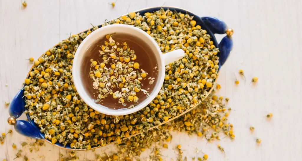 Top 7 Genmaicha Tea Benefits You Need to Know genmaicha tea also known as popcorn tea.  It is a traditional Japanese drink blending green tea with roasted rice. Tea is a trendy choice in Japan, and it is loved for its unique flavor and aroma. Genmaicha Tea benefits include helping to manage blood sugar levels and slowing down the signs of aging. In this guide, you’ll discover the best genmaicha tea. And its key ingredients, an easy recipe, and any potential side effects. Also, we will help you to choose the ​best genmaicha tea brand that is authentic and organic. This Genmaicha Matcha tea is known for being both beautiful to look at and full of nutrients. This tea is well-loved in Japan and has recently become popular in Europe and the United States. Its name means "brown rice tea," though other grains like wheat, corn, or barley are sometimes used to make it. The way tea is prepared gives it its particular flavor. When a lot of heat, its rice grains burst (Hana), making it look like popcorn. These hands are only for decoration, which is why it is also known as green tea popcorn. Health Benefits of Genmaicha Tea Some of the main health benefits of Genmaicha tea are as follows. Controls thyroid hormones Organic Genmaicha tea has selenium, which helps regulate thyroid hormones. A lack of selenium can lead to thyroid problems. This may cause symptoms like poor eyesight, fatigue, irritability, and difficulty sleeping. Prevent cardiovascular diseases One of the properties of Genmaicha tea is that it controls cholesterol levels. This infusion makes it excellent for preventing cardiovascular diseases. It is excellent for maintaining heart health and blood circulation. Helps to lose weight The tea has a strong antioxidant called EGCG, which increases a hormone in the body called catecholamine. This hormone helps burn fat faster. It also makes you feel full for a longer time, which helps you eat less. Detoxifies the body Due to its high polyphenol content, the tea helps accelerate the detoxification process. When green tea is combined with Genmaicha, it increases the defenses that fight free radicals. When we age, these free radicals are the ones that attack the proteins and DNA that are in the body's cells. Improves cognitive abilities genmaicha green tea's health benefits are many. It improves the cognitive and nervous functions of the brain. If combined with black tea, it increases energy and activates the mind. These benefits come from caffeine, which boosts brain chemicals like norepinephrine and dopamine. Relieves asthma This Japanese genmaicha green tea has an antioxidant called EGCG that reduces inflammation. And also relaxes the muscles in your airways, making it easier to breathe. Genmaicha also has magnesium, which supports healthy lungs and reduces asthma discomfort. While it doesn’t replace medical treatment, it may offer some relief for mild breathing problems. Avoid insomnia Genmaicha tea is made with green tea and roasted brown rice. It is great for relaxing without causing sleeplessness. It has less caffeine than black or pure green tea. So, it won’t keep you awake. The tea’s calming effect helps reduce stress, making it perfect for evening relaxation. Recipes Now that you know how to brew genmaicha tea, we will tell you some of the recipes that can be prepared with it. Traditional Genmaicha Tea Making Genmaicha Tea more delicious requires the following ingredients: 250 grams of Japanese white rice. Bulk green tea leaves. How to prepare it: In a bowl, cover the rice with hot water at 36º. Let it soak for ½ hour, drain and cook. Spread the rice grains on a baking tray lined with baking paper. Heat a non-stick frying pan. Gradually add the rice, which should already be cold, and toast it until it turns golden and puffs up. Allow the rice to cool completely. Mix it evenly with the green tea leaves. Place approximately 2 tablespoons of Genmaicha green tea in a teapot with a strainer and let it infuse for 2 minutes. Serve in a cup. Matcha chocolate with Geinmaicha To prepare this interesting recipe you must first gather the following ingredients: 120 grams of cocoa butter. 2 tablespoons of honey. 1 tablespoon vanilla. ¼ tablespoon salt. 2/3 cup macadamia nuts. A spoonful of matcha tea powdered. Two tablespoons of Genmaicha. How is it prepared: In a saucepan over low heat add cocoa butter, honey, vanilla, and salt. Allow to melt completely, remove from heat, and let infuse for a few minutes. Blend the macadamia nuts in a food processor until completely smooth. Scrape down the sides from time to time. Next, add the cocoa butter and matcha to the blender. Blend well. Spread the chocolate onto a lined baking sheet with a spatula. Add the Genmaicha on top and place in the refrigerator until set. Once it is consistent, break it into small pieces. This preparation can be kept for up to two weeks. genmaicha tea also known as popcorn tea.  It is a traditional Japanese drink blending green tea with roasted rice. Tea is a trendy choice in Japan, and it is loved for its unique flavor and aroma. Genmaicha Tea benefits include helping to manage blood sugar levels and slowing down the signs of aging. In this guide, you’ll discover the best genmaicha tea. And its key ingredients, an easy recipe, and any potential side effects. Also, we will help you to choose the ​best genmaicha tea brand that is authentic and organic. This Genmaicha Matcha tea is known for being both beautiful to look at and full of nutrients. This tea is well-loved in Japan and has recently become popular in Europe and the United States. Its name means "brown rice tea," though other grains like wheat, corn, or barley are sometimes used to make it. The way tea is prepared gives it its particular flavor. When a lot of heat, its rice grains burst (Hana), making it look like popcorn. These hands are only for decoration, which is why it is also known as green tea popcorn. Health Benefits of Genmaicha Tea Some of the main health genmaicha matcha tea benefits are as follows. Controls thyroid hormones Organic Genmaicha tea has selenium, which helps regulate thyroid hormones. A lack of selenium can lead to thyroid problems. This may cause symptoms like poor eyesight, fatigue, irritability, and difficulty sleeping. Prevent cardiovascular diseases One of the properties of Genmaicha tea is that it controls cholesterol levels. This infusion makes it excellent for preventing cardiovascular diseases. It is excellent for maintaining heart health and blood circulation. Helps to lose weight The tea has a strong antioxidant called EGCG, which increases a hormone in the body called catecholamine. This hormone helps burn fat faster. It also makes you feel full for a longer time, which helps you eat less. Detoxifies the body Due to its high polyphenol content, the tea helps accelerate the detoxification process. When green tea is combined with Genmaicha, it increases the defenses that fight free radicals. When we age, these free radicals are the ones that attack the proteins and DNA that are in the body's cells. Improves cognitive abilities genmaicha green tea's health benefits are many. It improves the cognitive and nervous functions of the brain. If combined with black tea, it increases energy and activates the mind. These genmaicha tea health benefits come from caffeine, which boosts brain chemicals like norepinephrine and dopamine. Relieves asthma This Japanese genmaicha green tea has an antioxidant called EGCG that reduces inflammation. And also relaxes the muscles in your airways, making it easier to breathe. Genmaicha also has magnesium, which supports healthy lungs and reduces asthma discomfort. While it doesn’t replace medical treatment, it may offer some relief for mild breathing problems. Avoid insomnia Genmaicha tea is made with green tea and roasted brown rice. It is great for relaxing without causing sleeplessness. It has less caffeine than black or pure green tea. So, it won’t keep you awake. The tea’s calming effect helps reduce stress, making it perfect for evening relaxation. Recipes Now that you know how to brew genmaicha tea, we will tell you some of the recipes that can be prepared with it. Traditional Genmaicha Tea Making Genmaicha Tea more delicious requires the following ingredients: 250 grams of Japanese white rice. Bulk green tea leaves. How to prepare it: In a bowl, cover the rice with hot water at 36º. Let it soak for ½ hour, drain and cook. Spread the rice grains on a baking tray lined with baking paper. Heat a non-stick frying pan. Gradually add the rice, which should already be cold, and toast it until it turns golden and puffs up. Allow the rice to cool completely. Mix it evenly with the green tea leaves. Place approximately 2 tablespoons of Genmaicha green tea in a teapot with a strainer and let it infuse for 2 minutes. Serve in a cup. Matcha chocolate with Genmaicha To prepare this interesting recipe you must first gather the following ingredients: 120 grams of cocoa butter. 2 tablespoons of honey. 1 tablespoon vanilla. ¼ tablespoon salt. 2/3 cup macadamia nuts. A spoonful of matcha tea powdered. Two tablespoons of Genmaicha. How is it prepared: In a saucepan over low heat add cocoa butter, honey, vanilla, and salt. Allow to melt completely, remove from heat, and let infuse for a few minutes. Blend the macadamia nuts in a food processor until completely smooth. Scrape down the sides from time to time. Next, add the cocoa butter and matcha to the blender. Blend well. Spread the chocolate onto a lined baking sheet with a spatula. Add the Genmaicha on top and place in the refrigerator until set. Once it is consistent, break it into small pieces. This preparation can be kept for up to two weeks. Genmaicha Tea Side Effects: What You Should Know Genmaicha green tea is generally safe and healthy, but like any drink, it may have some side effects if consumed in excess. Here are a few potential side effects to keep in mind: Low Caffeine Sensitivity: Genmaicha tea has less caffeine than regular green tea. Too much drinking tea can cause issues like restlessness, headaches, or an upset stomach for those sensitive to caffeine. Stomach Irritation: Drinking Genmaicha on an empty stomach may lead to mild stomach discomfort due to the tannins in green tea. It's best to enjoy it after meals. Iron Absorption Issues: Like other teas, Genmaicha might slightly lower the absorption of non-heme iron. Which comes from plant-based foods. This happens because of certain compounds in tea that can bind to iron. To avoid this, try drinking Genmaicha between meals instead of with your food especially if you're eating plant-based meals rich in iron. Allergies: Some people might be allergic to the roasted brown rice in Genmaicha tea, though this is rare. Allergic reactions can include mild symptoms like itching or stomach discomfort. If you notice any unusual symptoms after drinking Genmaicha, stop using it and consult a doctor. To enjoy Genmaicha tea safely, drink it in moderation as part of a balanced diet. Always consult with a healthcare professional if you have specific health concerns.